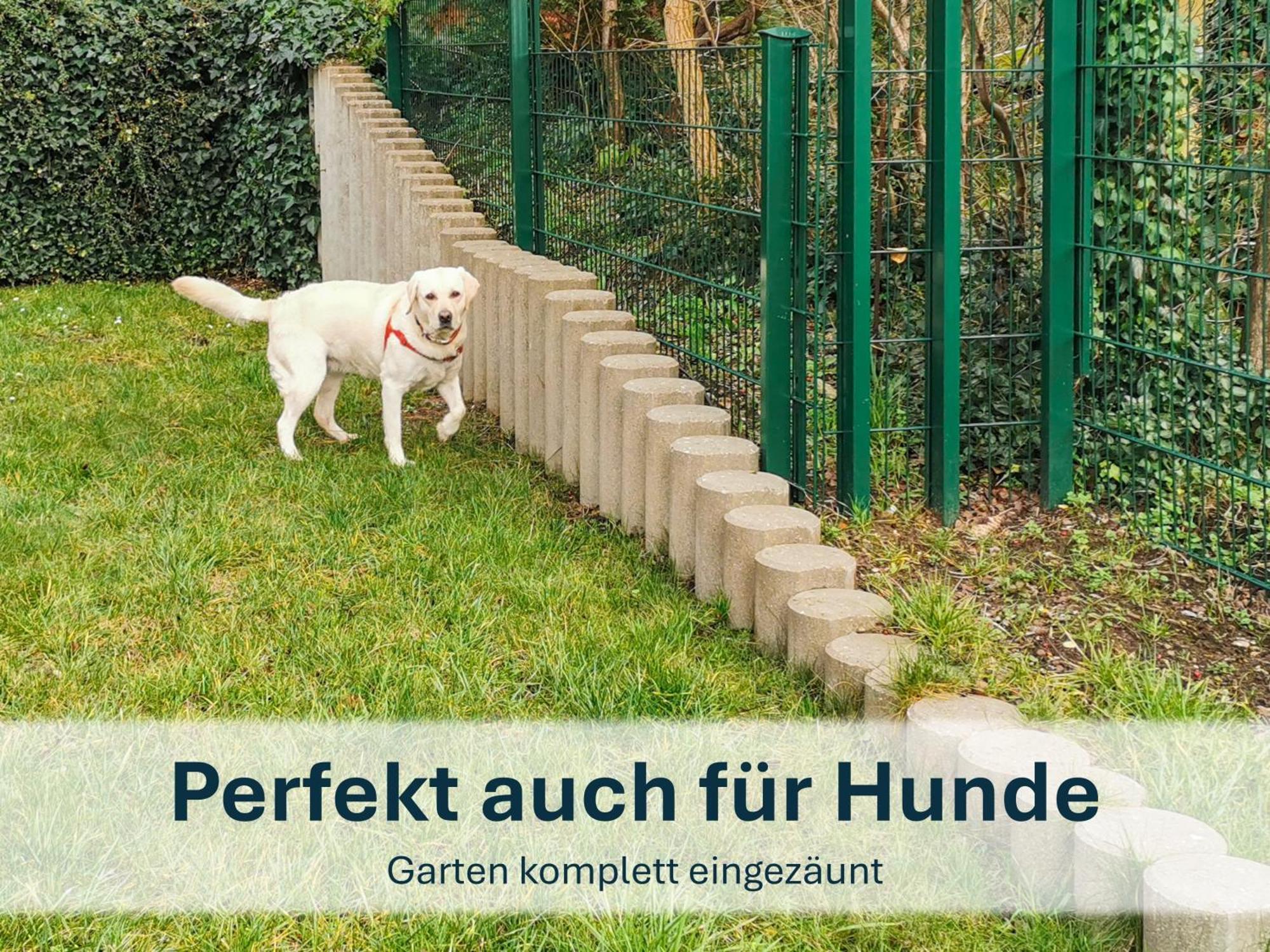 Zinnowitz, Paradies-Moeskenweg Luaran gambar